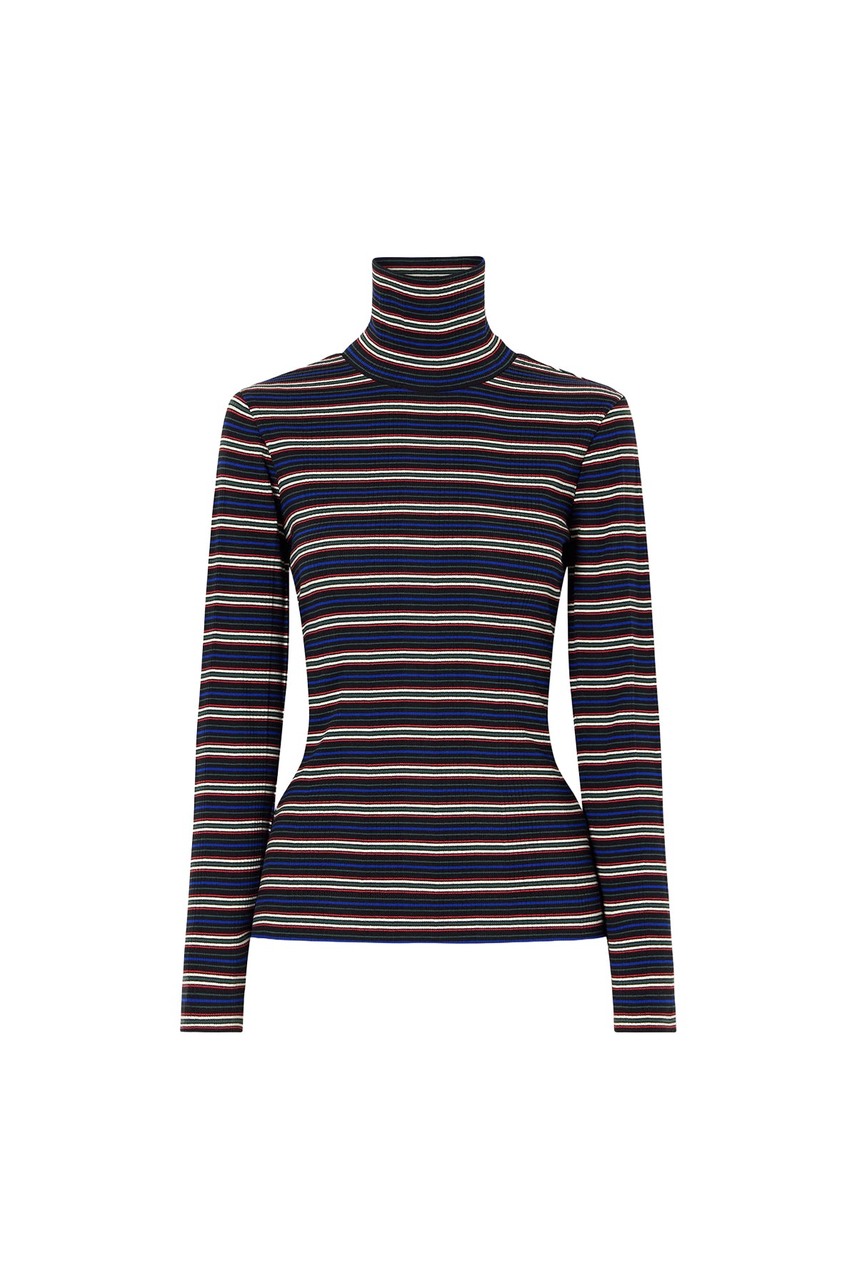 Hetala Stripe Turtleneck